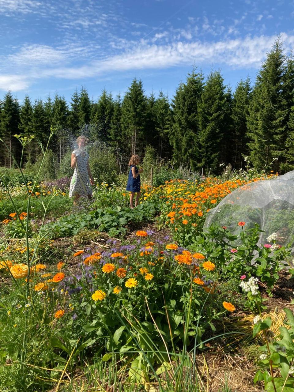 Escape To Paulssonpaleo Bed & Breakfast Simlangsdalen ภายนอก รูปภาพ