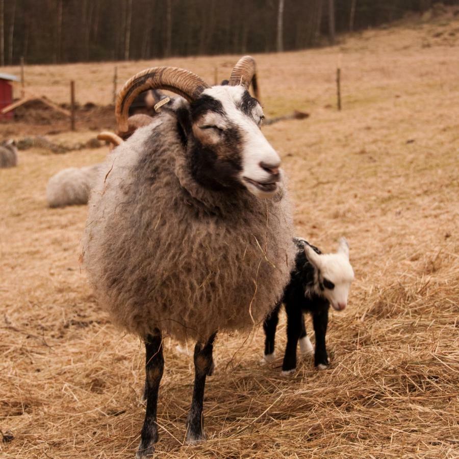 Escape To Paulssonpaleo Bed & Breakfast Simlangsdalen ภายนอก รูปภาพ