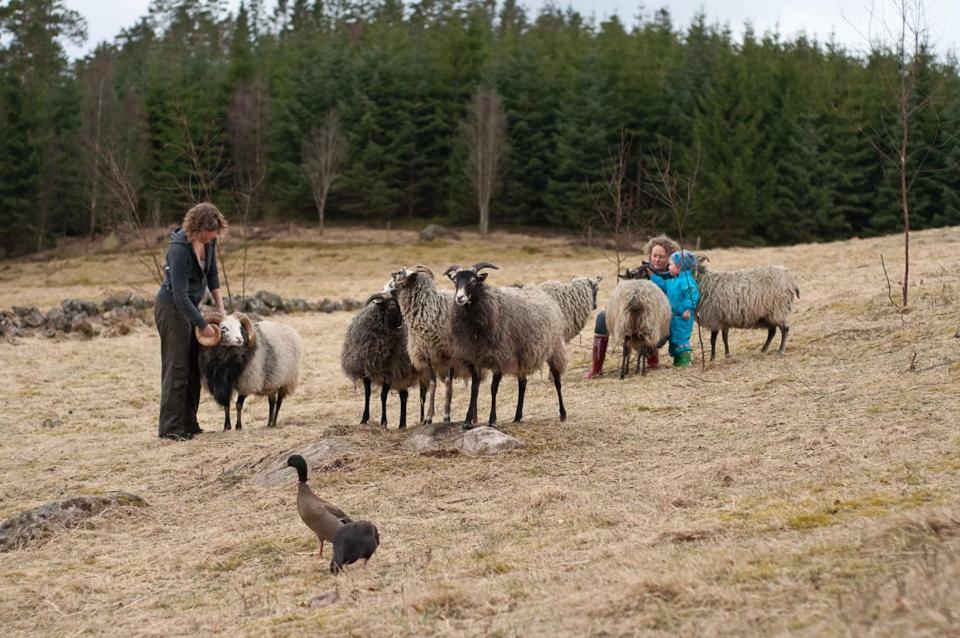 Escape To Paulssonpaleo Bed & Breakfast Simlangsdalen ภายนอก รูปภาพ